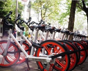 摩拜早期投資人劉二海：當(dāng)你足夠強(qiáng)大，自不必與巨頭為伍